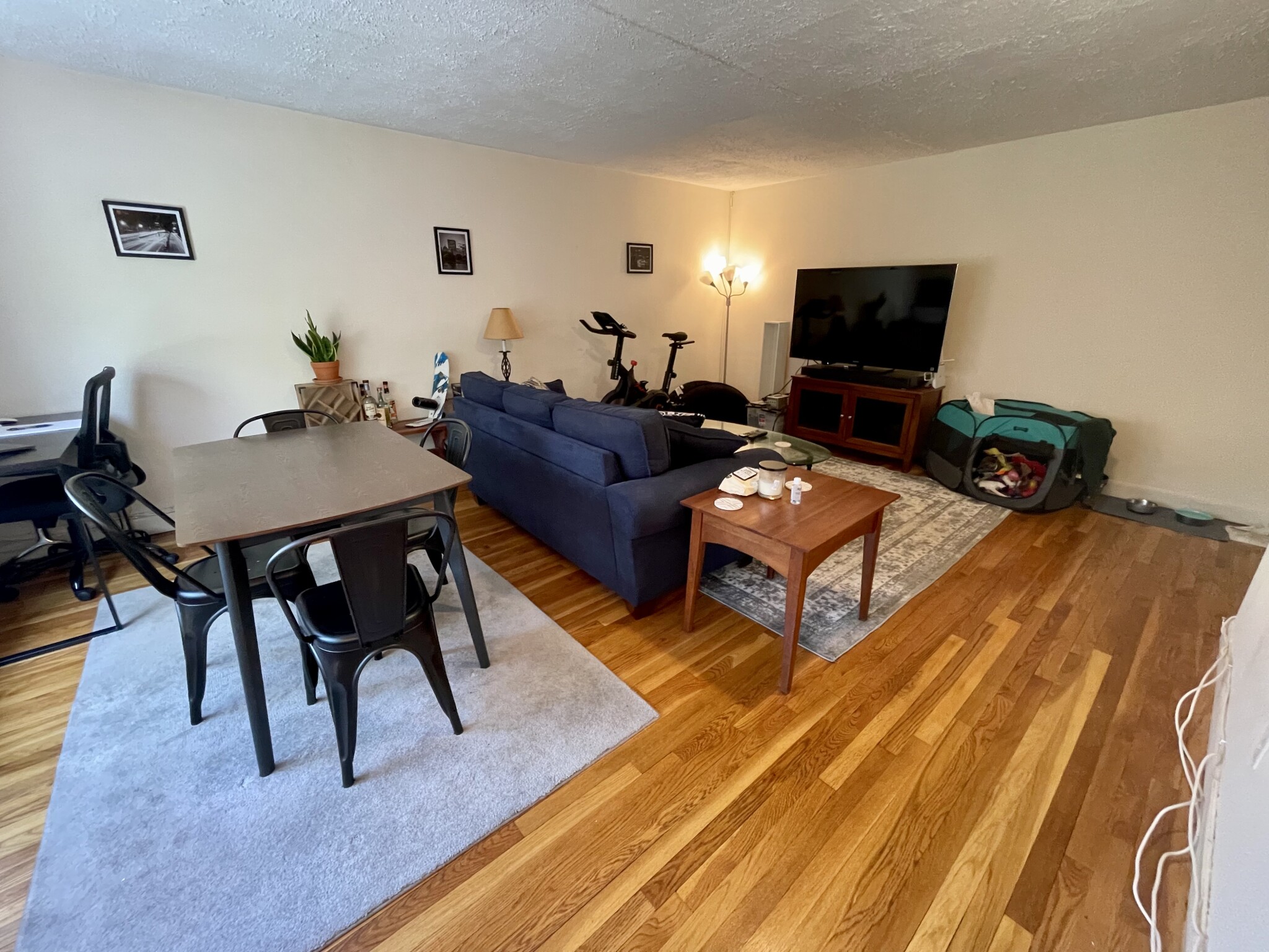 133 Beaconsfield Rd, Washington Square