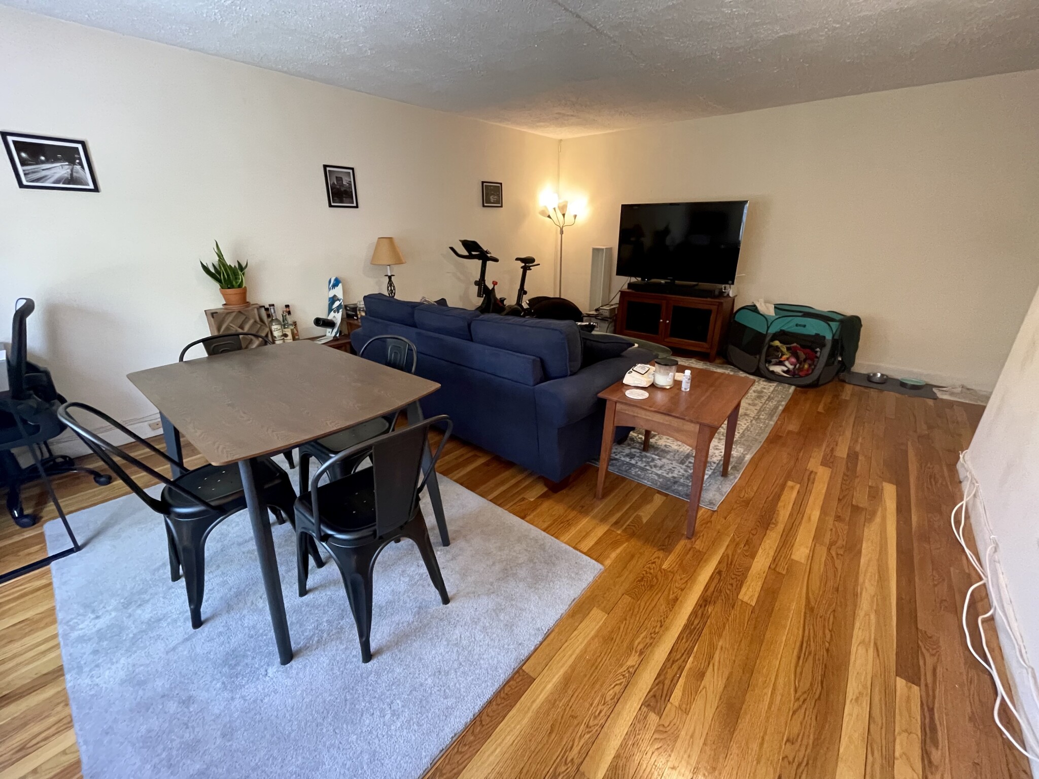 133 Beaconsfield Rd, Washington Square