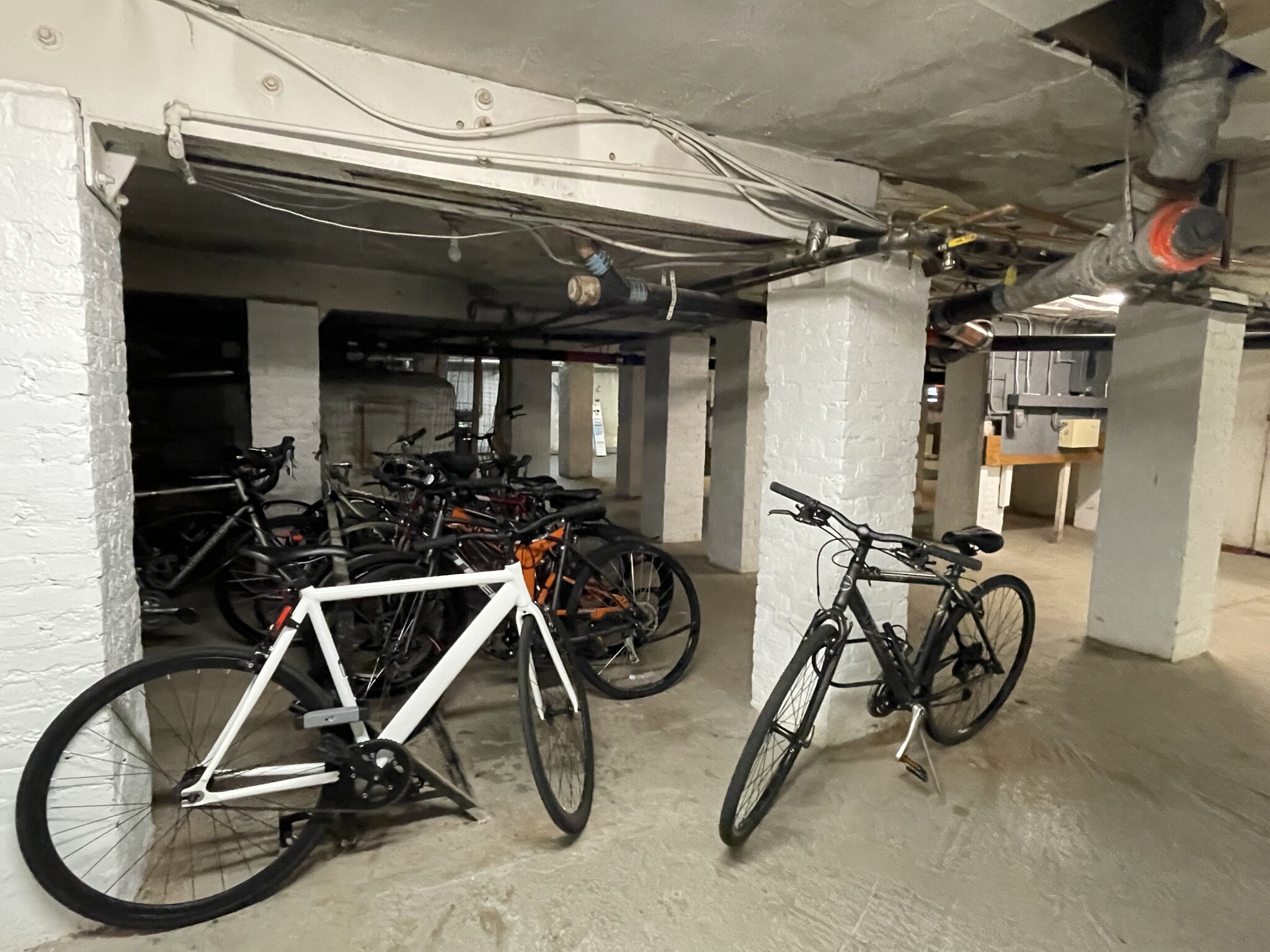 31 Orkney Rd, Brighton