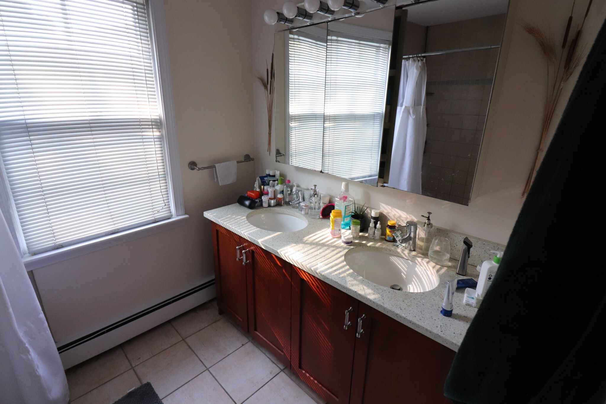 40 Atherton Rd, Coolidge Corner