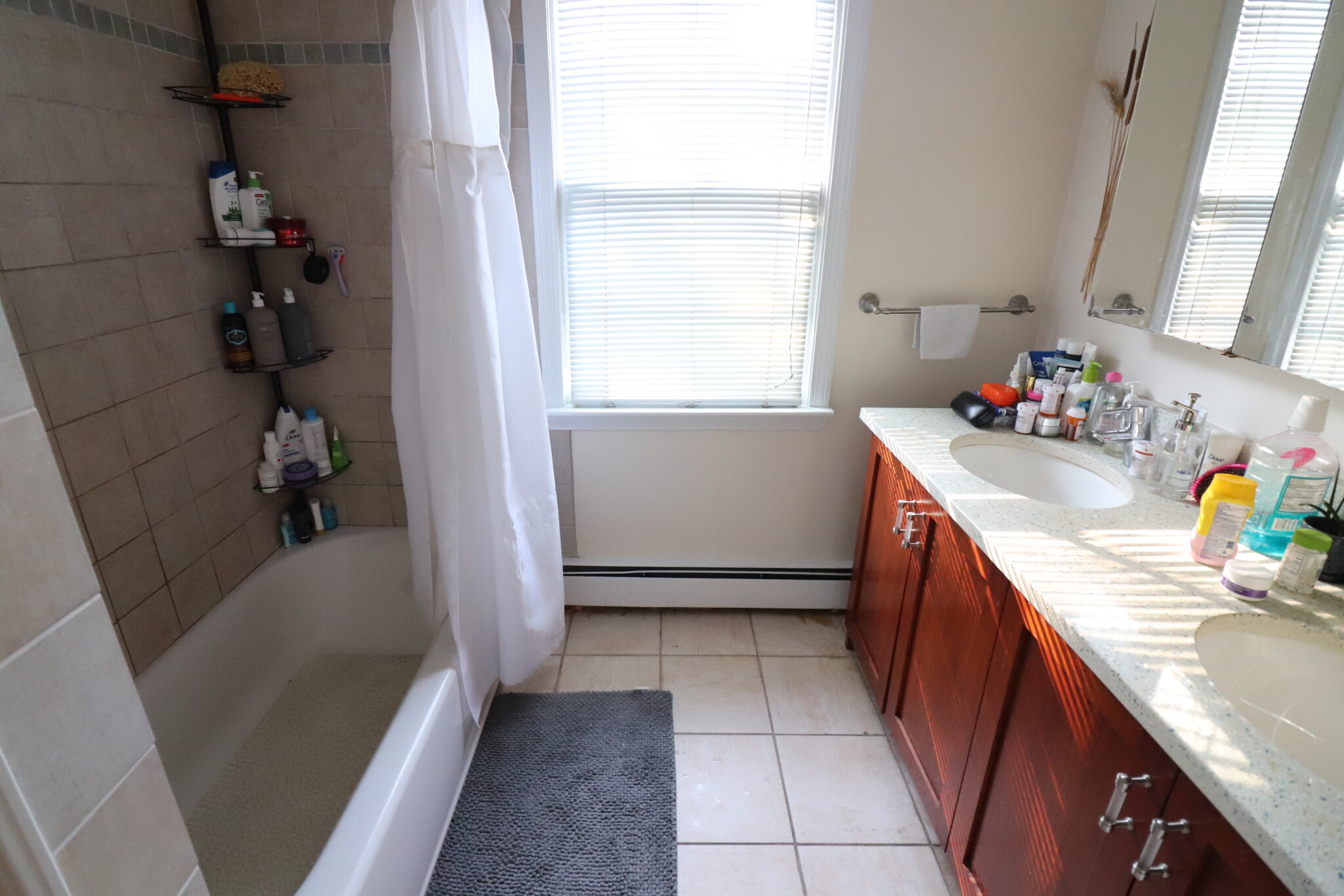 40 Atherton Rd, Coolidge Corner