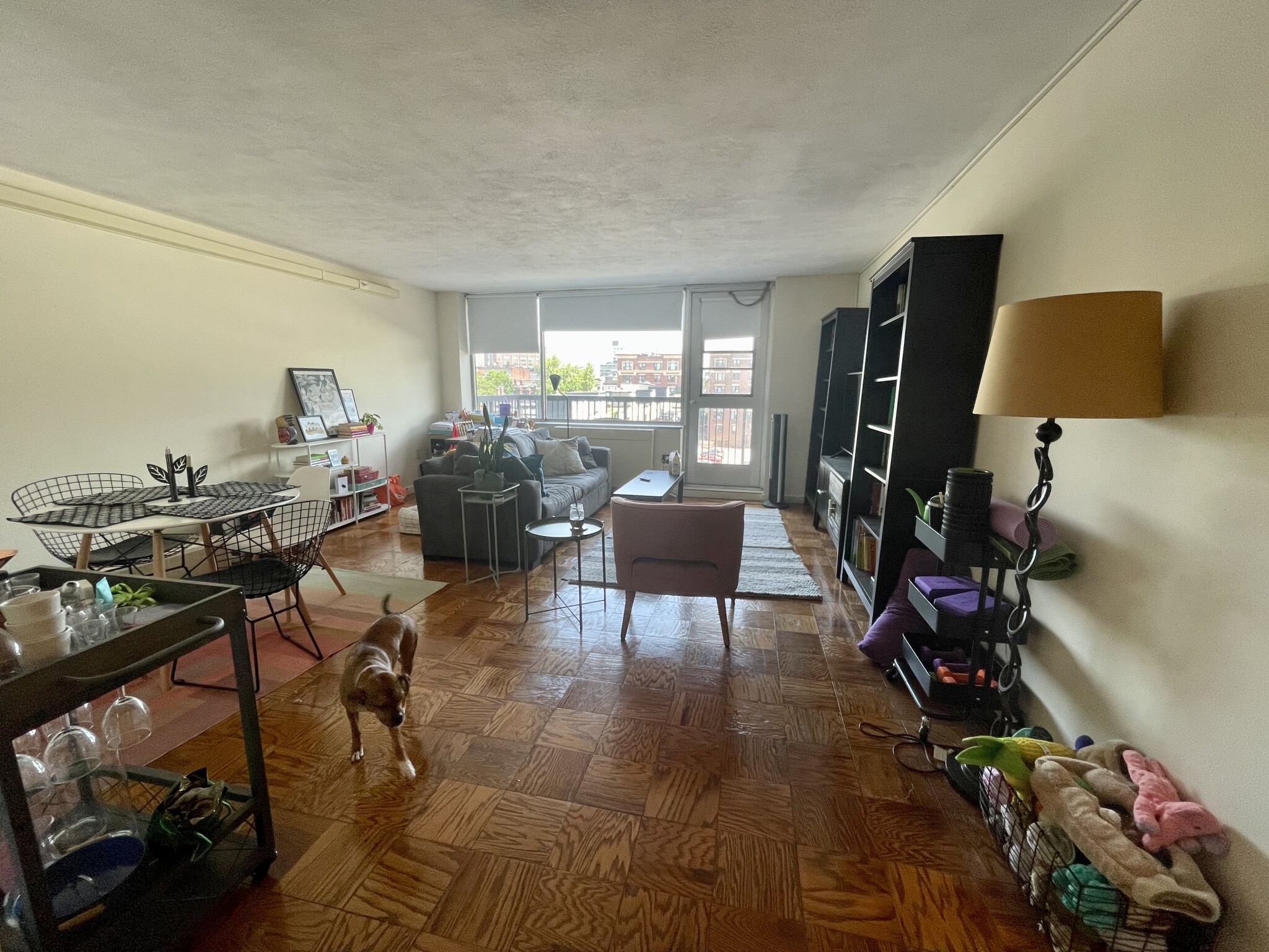 101 Monmouth St, Longwood