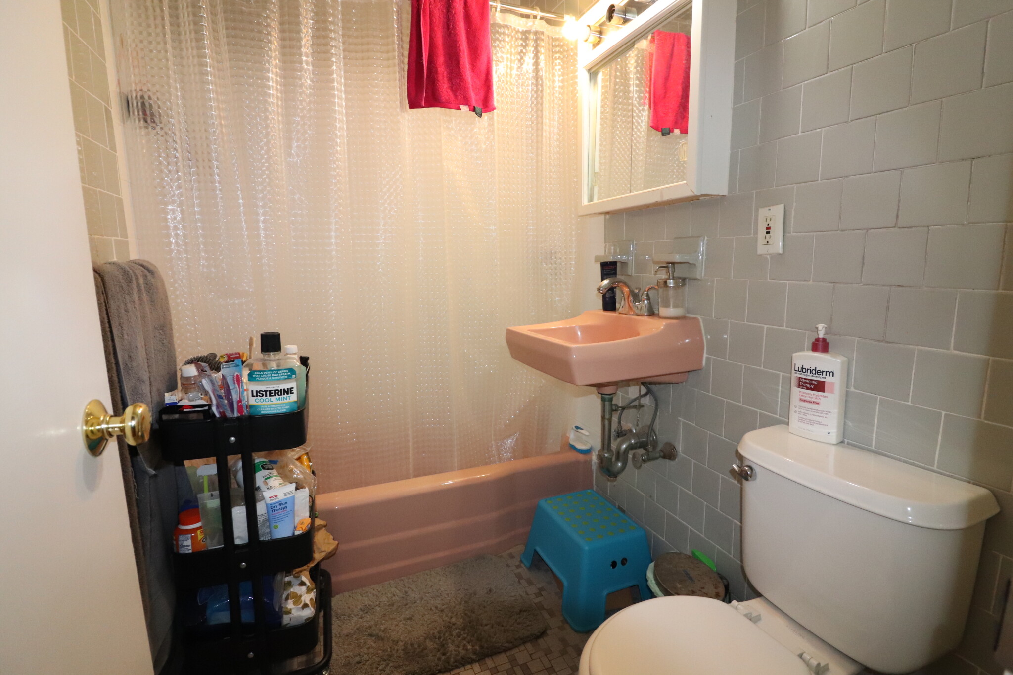 202 Saint Paul St, Coolidge Corner