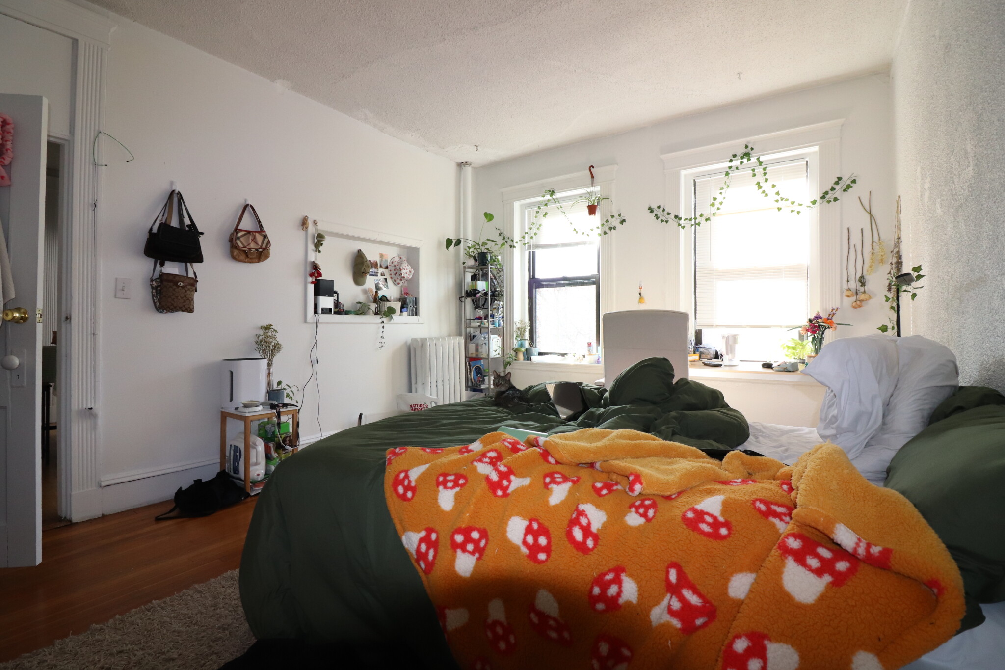 409 Huntington Ave, Fenway