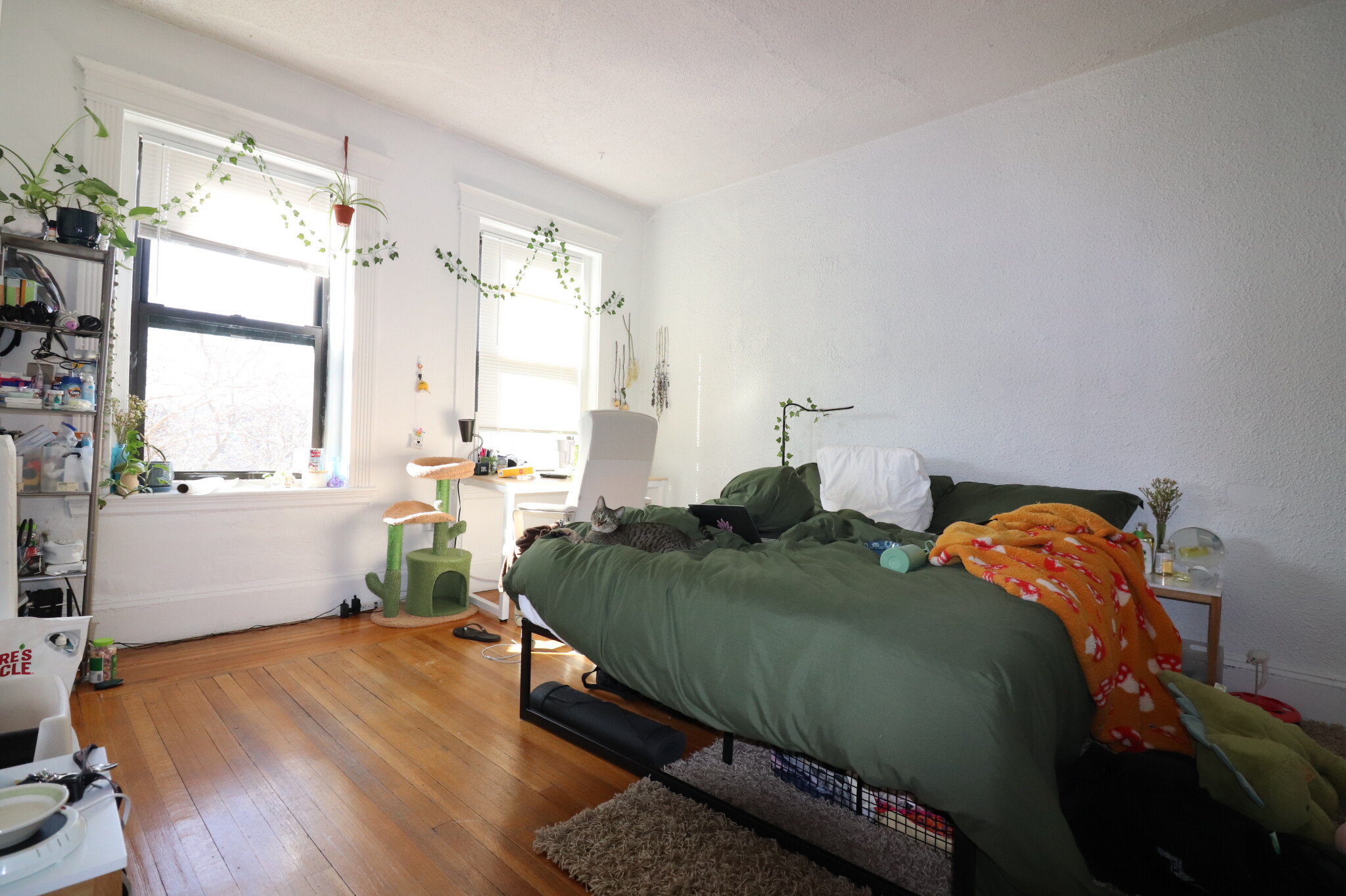 409 Huntington Ave, Fenway