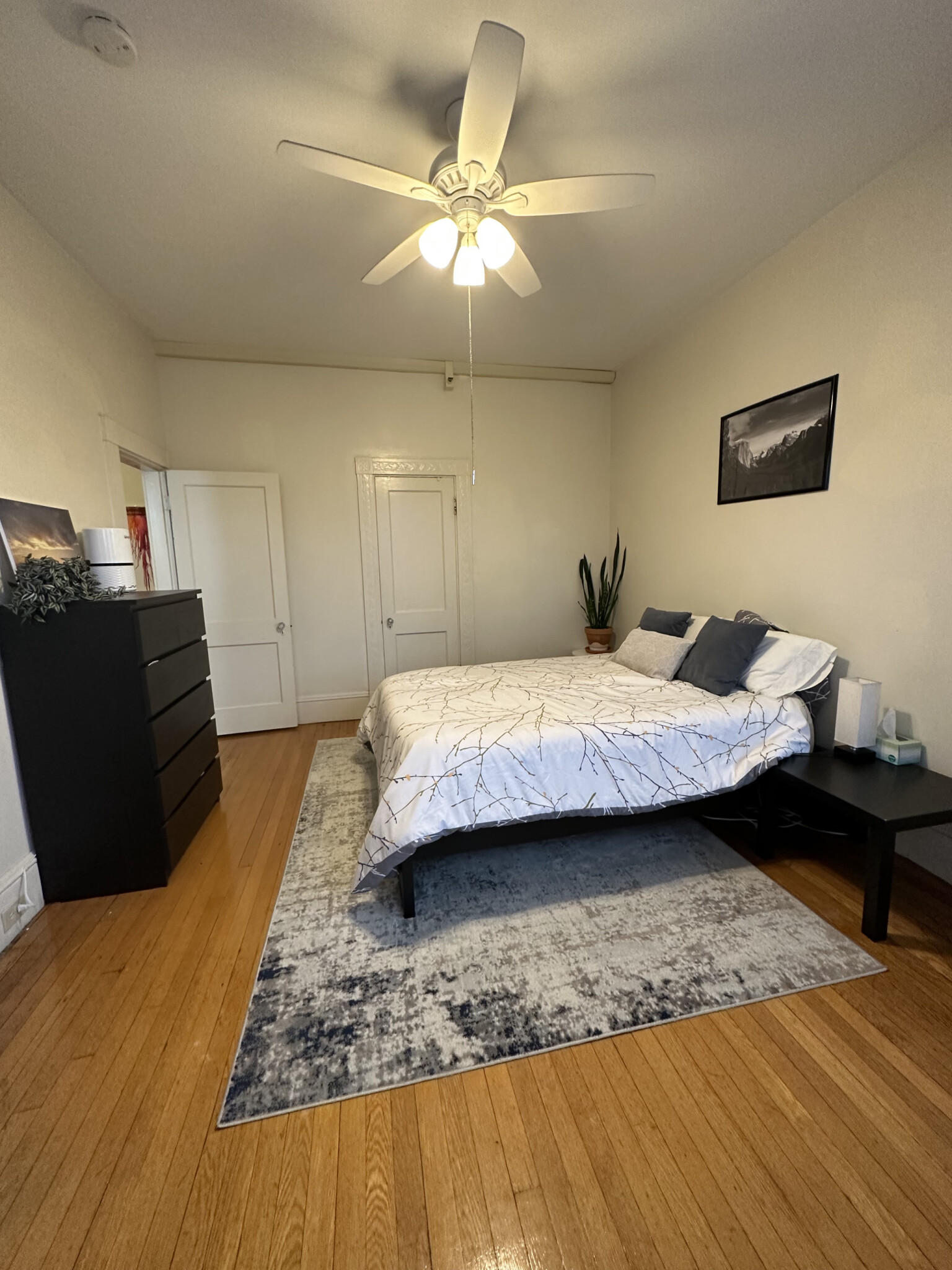 1477 Beacon St, Coolidge Corner