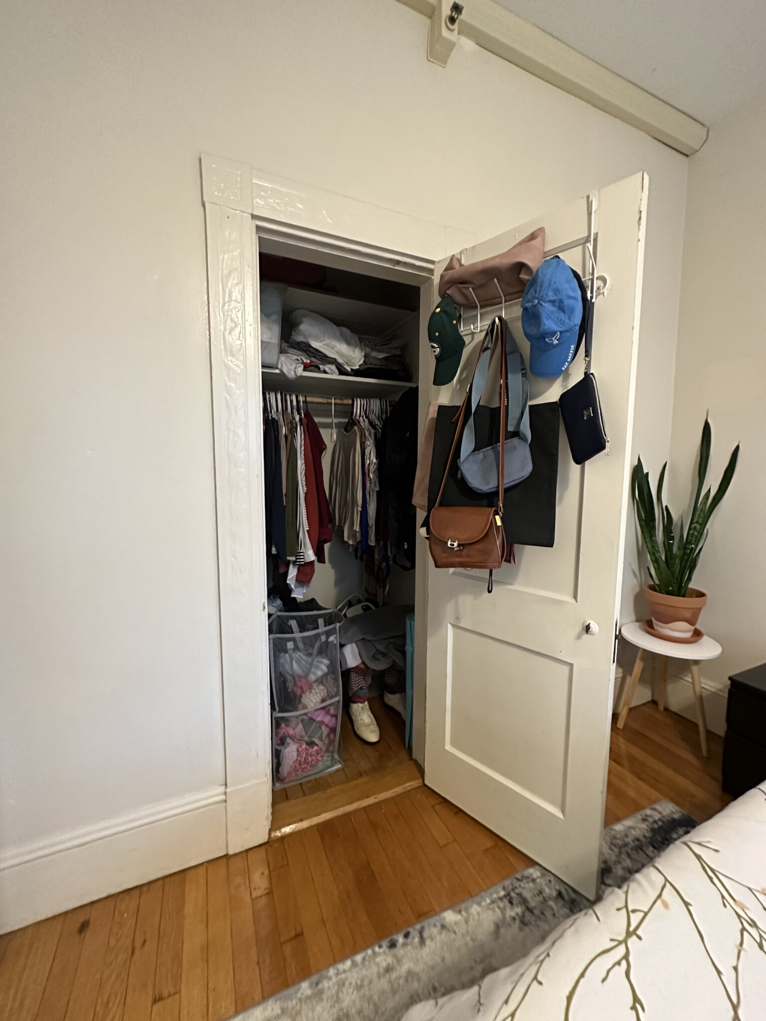 1477 Beacon St, Coolidge Corner