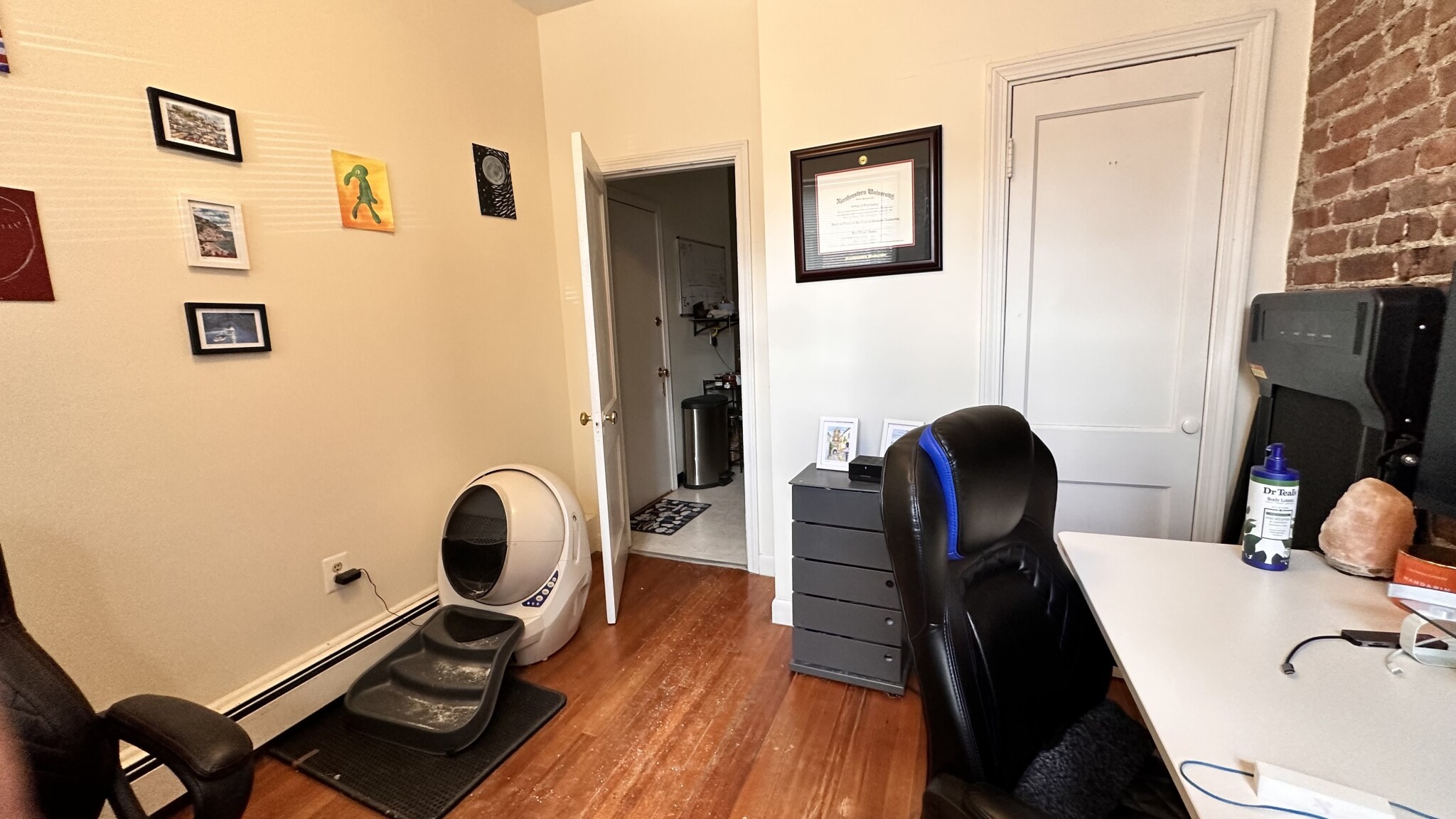 11 Stearns Rd, Coolidge Corner