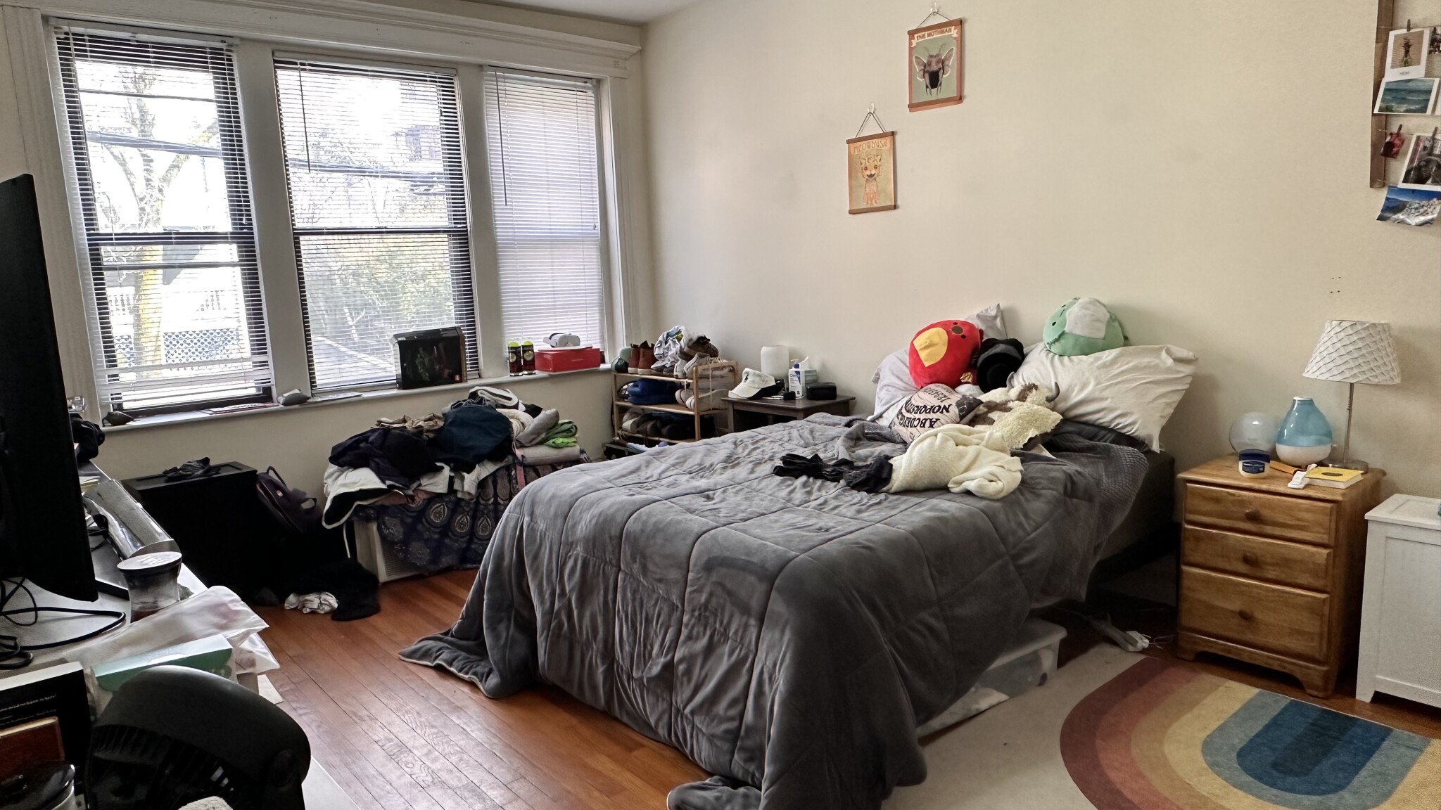 11 Stearns Rd, Coolidge Corner