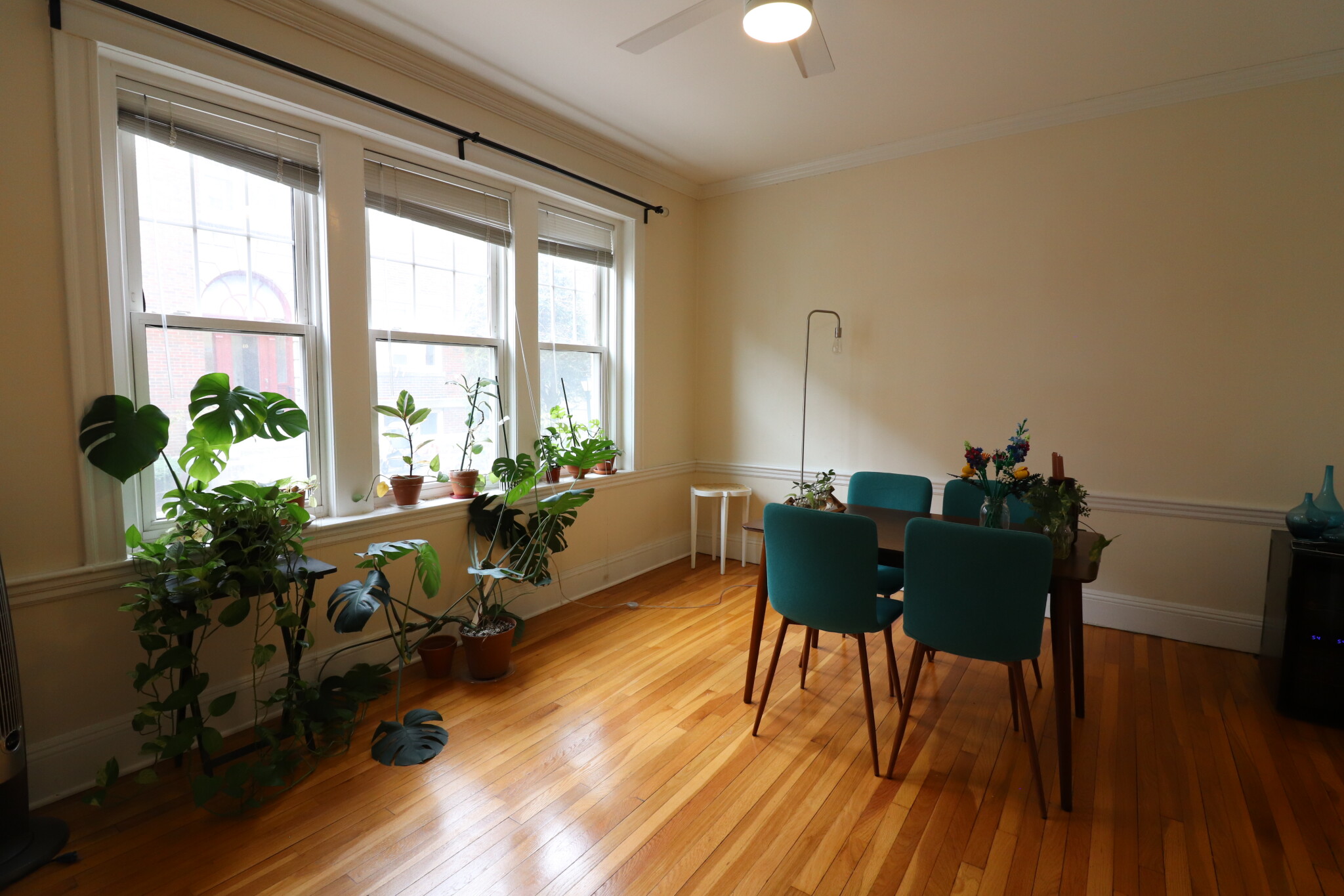 42 Saint Paul St, Longwood