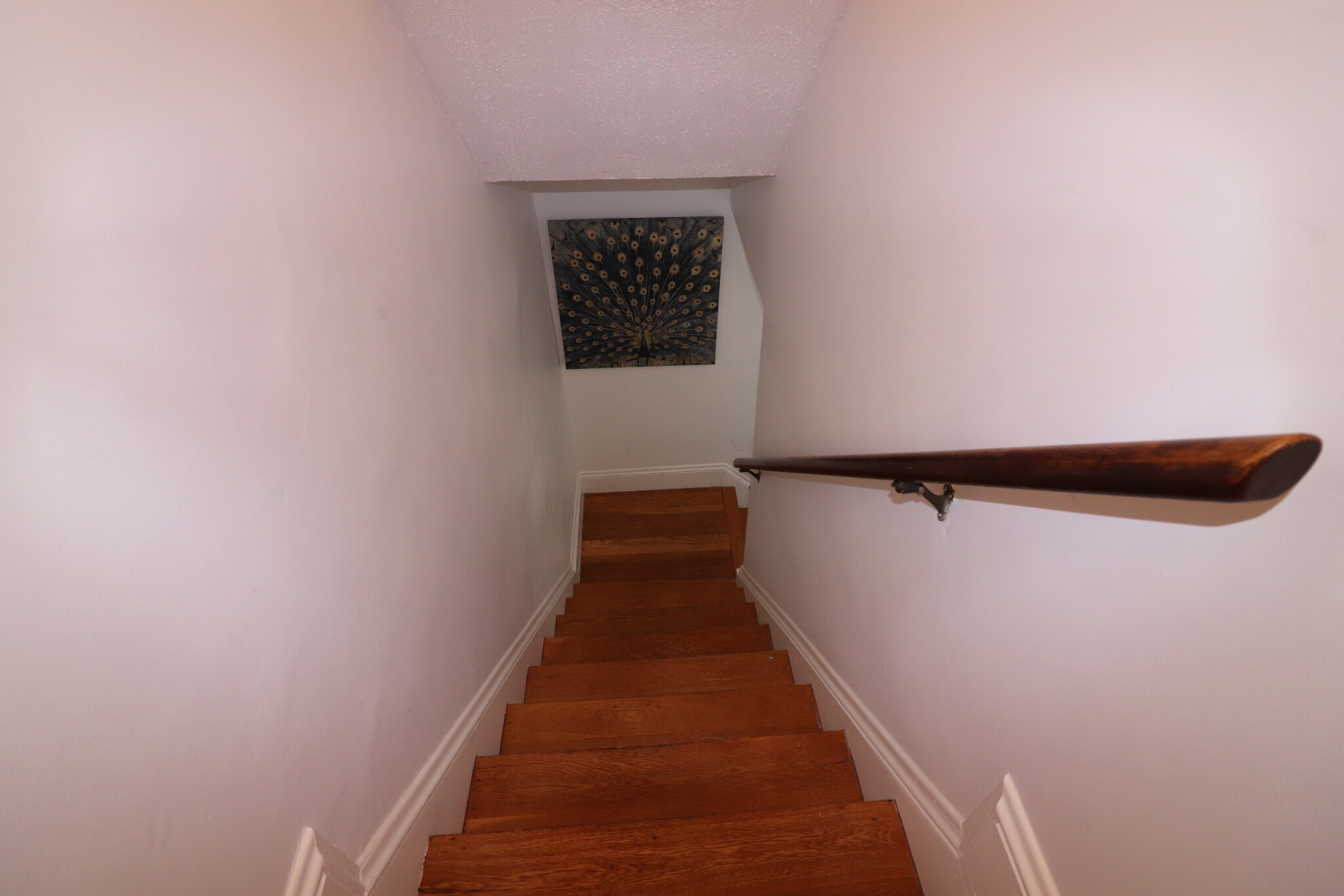 67 Withington Rd, Newton