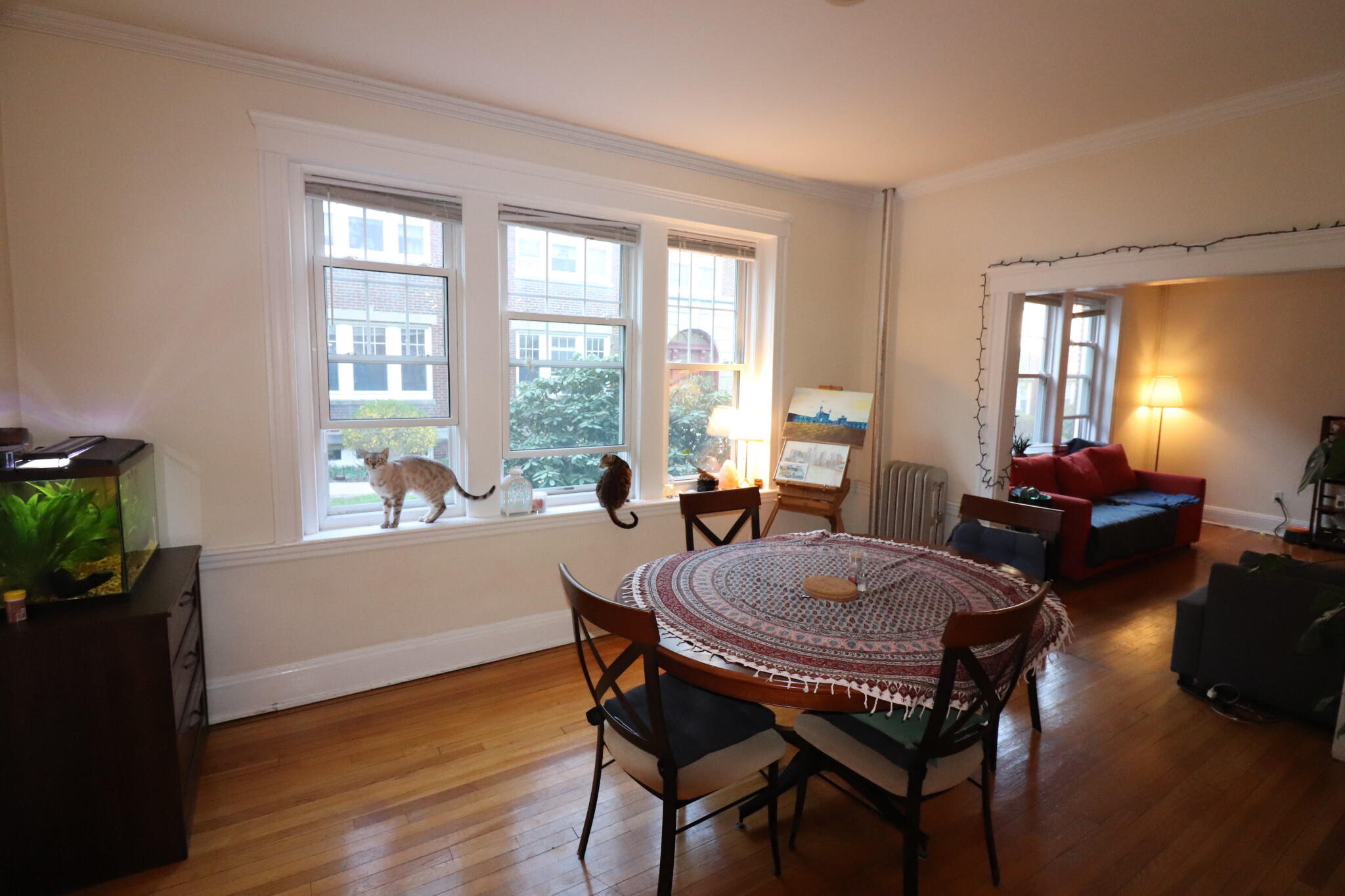 38 Saint Paul St, Coolidge Corner