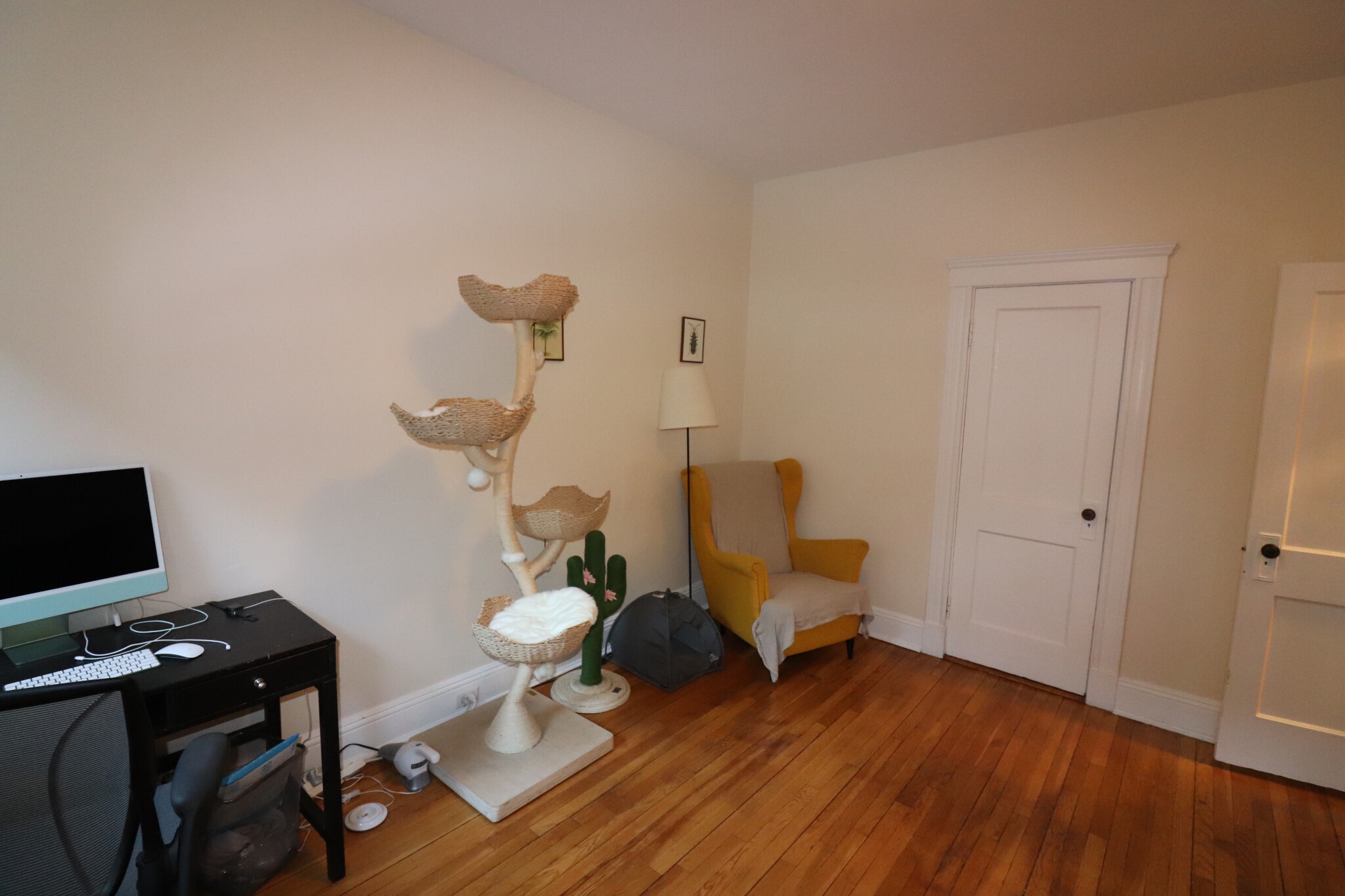 38 Saint Paul St, Coolidge Corner