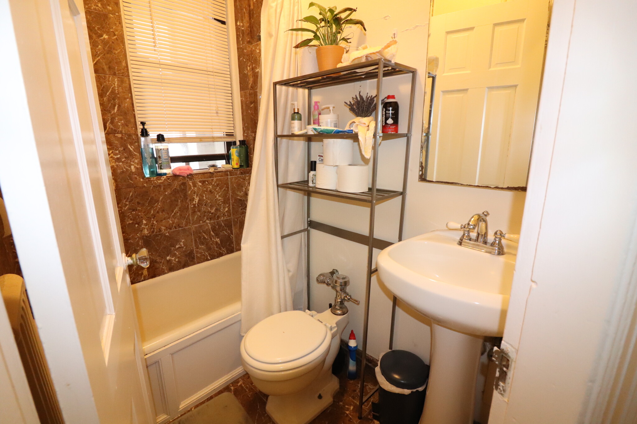 40 Park St, Griggs Park