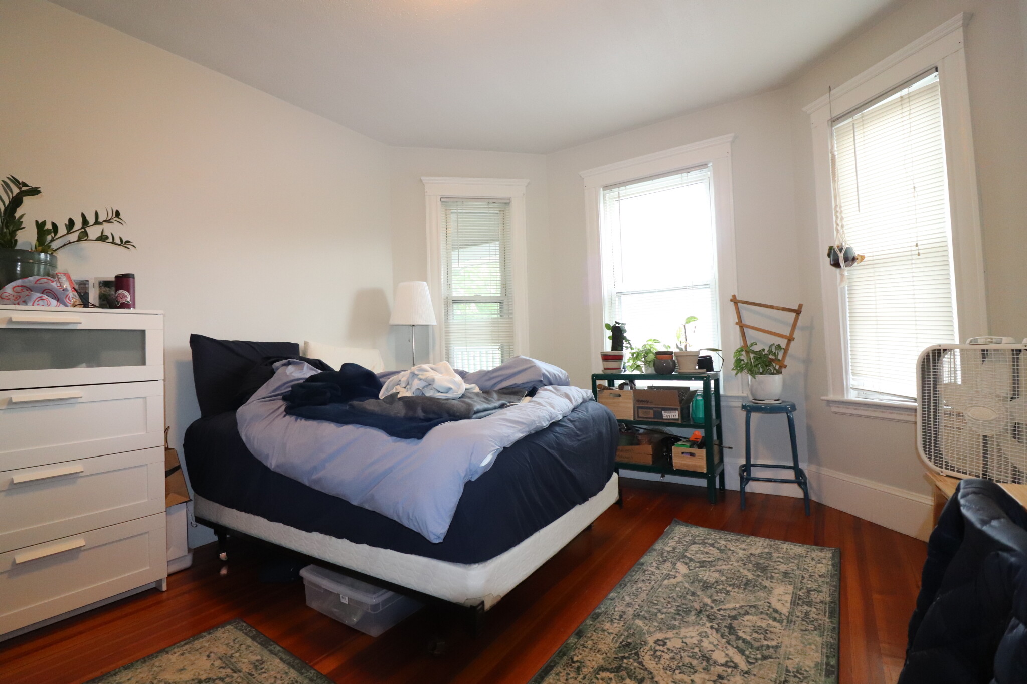 39 Foster St, Brighton