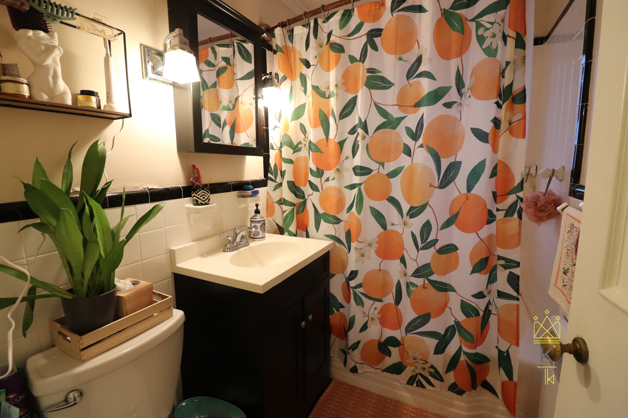 5 Alton Ct, Brookline Village