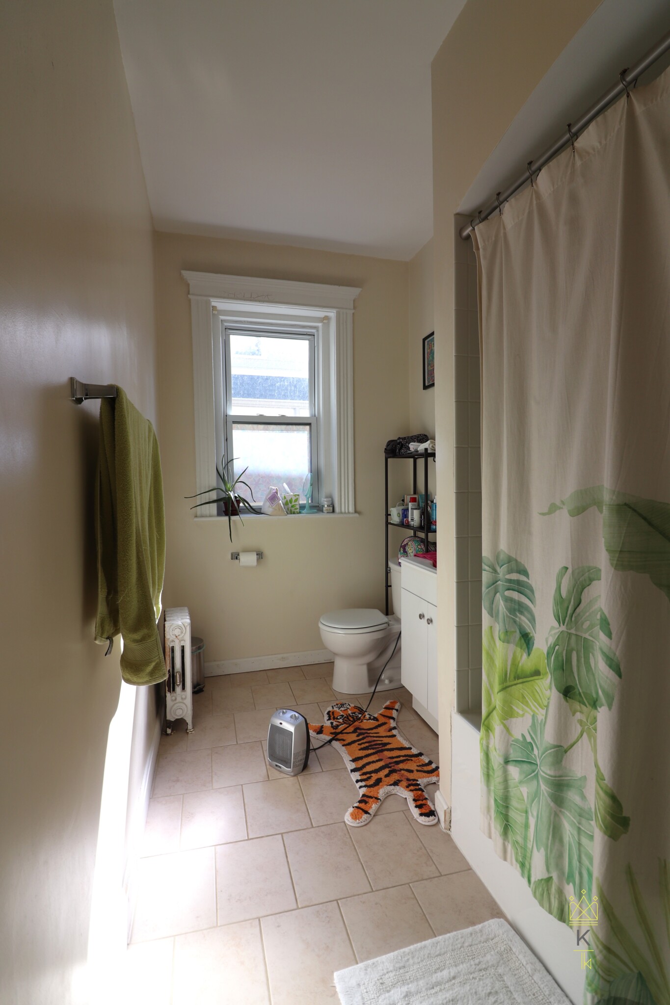 28 Littell Rd, Coolidge Corner