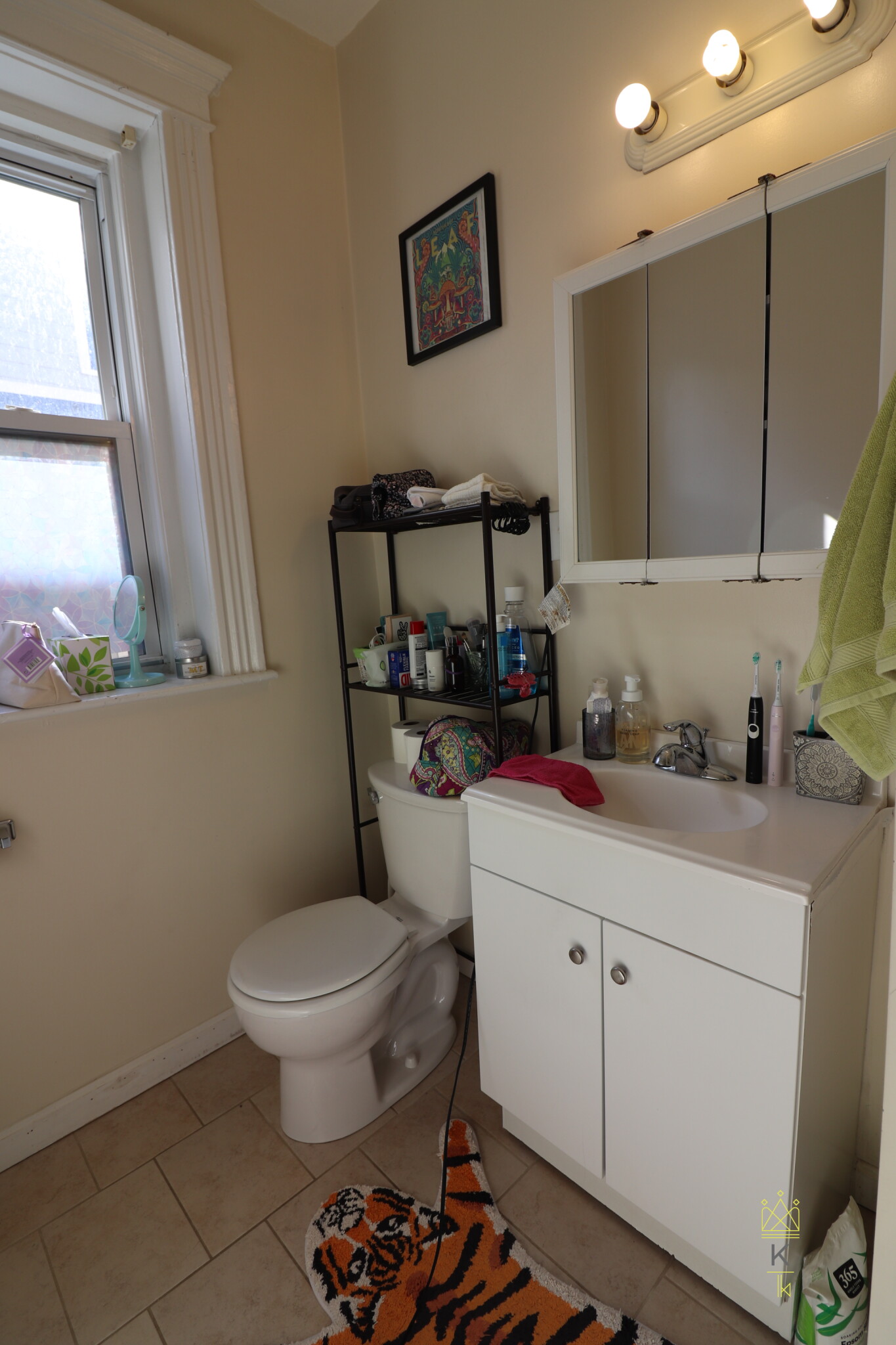 28 Littell Rd, Coolidge Corner