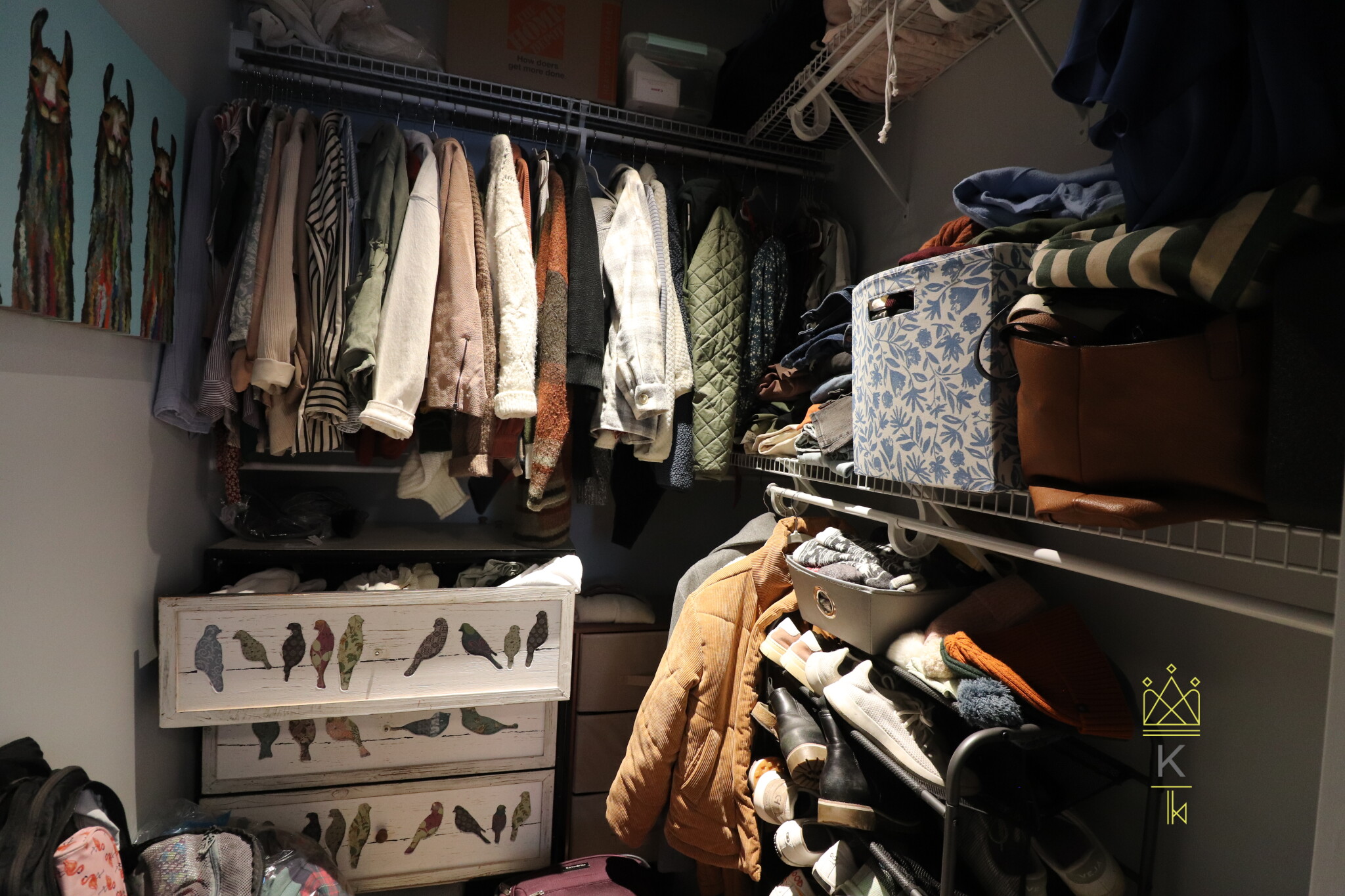 136 Babcock St, North Brookline