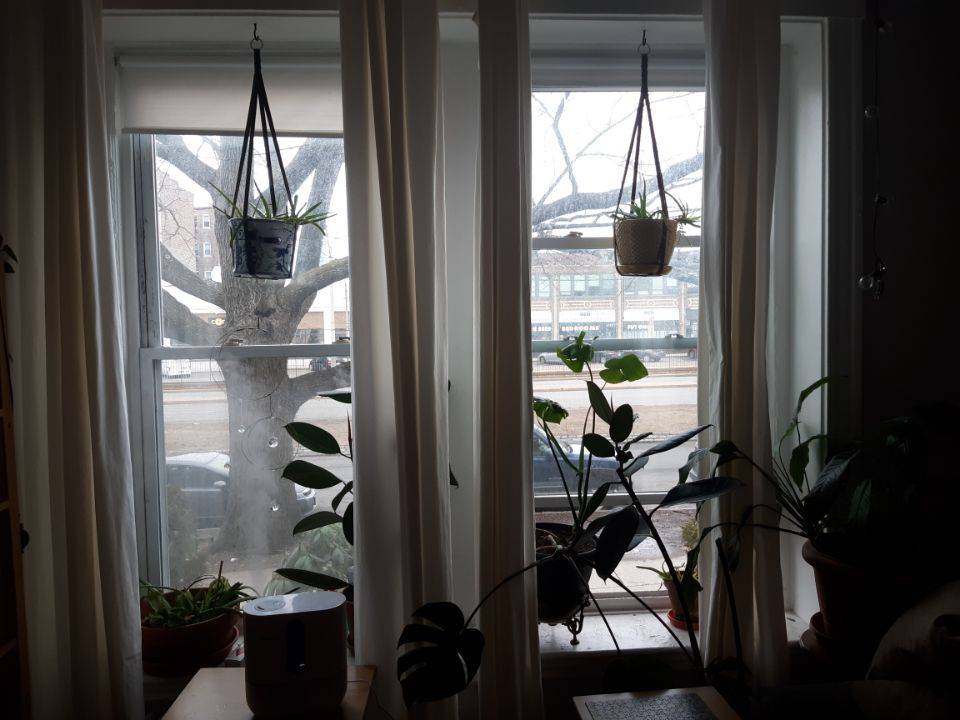 1118 Commonwealth Ave, Allston