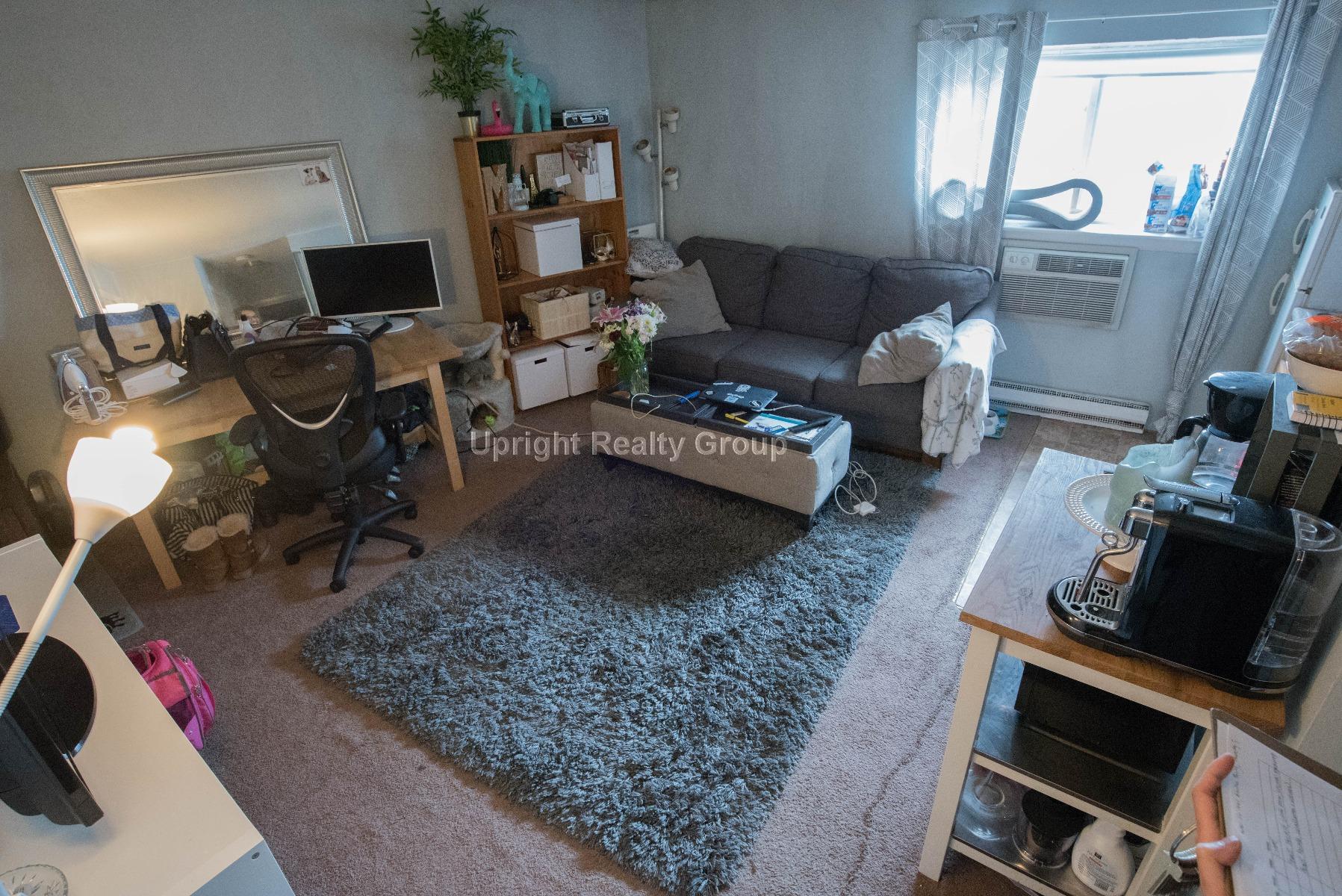 231 Harrison Ave, Chinatown