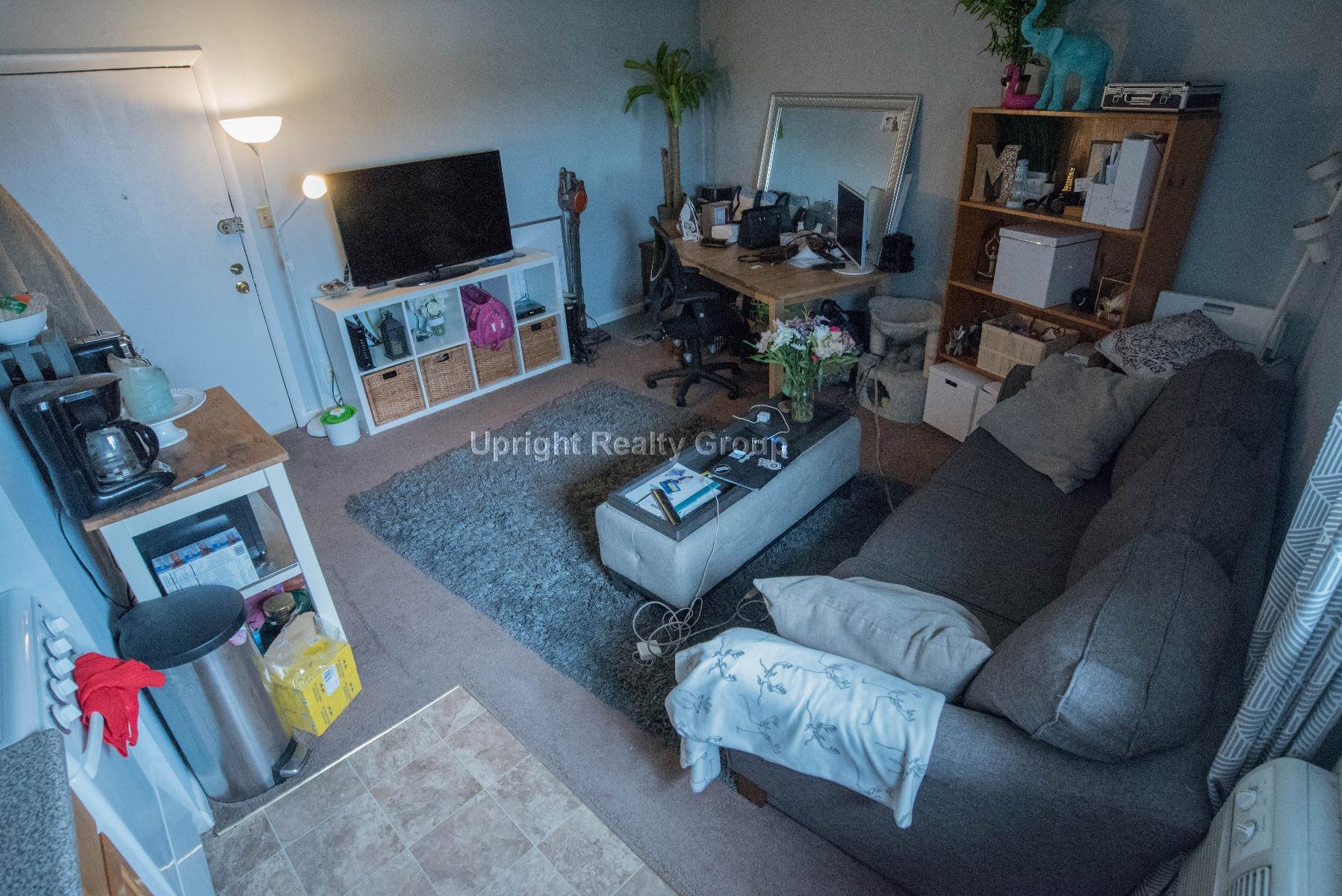 231 Harrison Ave, Chinatown