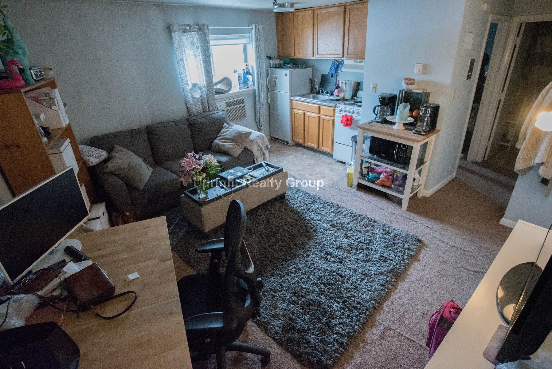 231 Harrison Ave, Chinatown