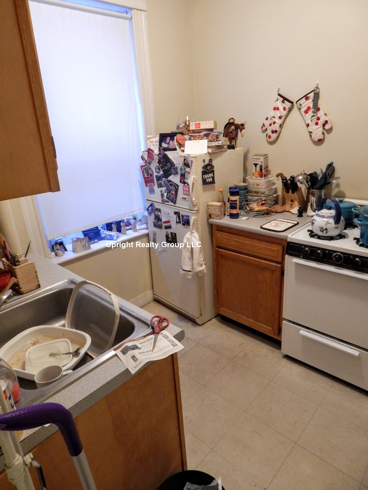 161 Kelton St, Brighton