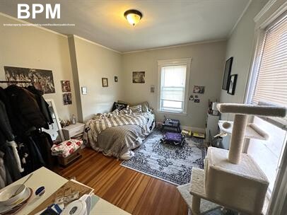 Photos of apartment on Peverell St.,Boston MA 02125