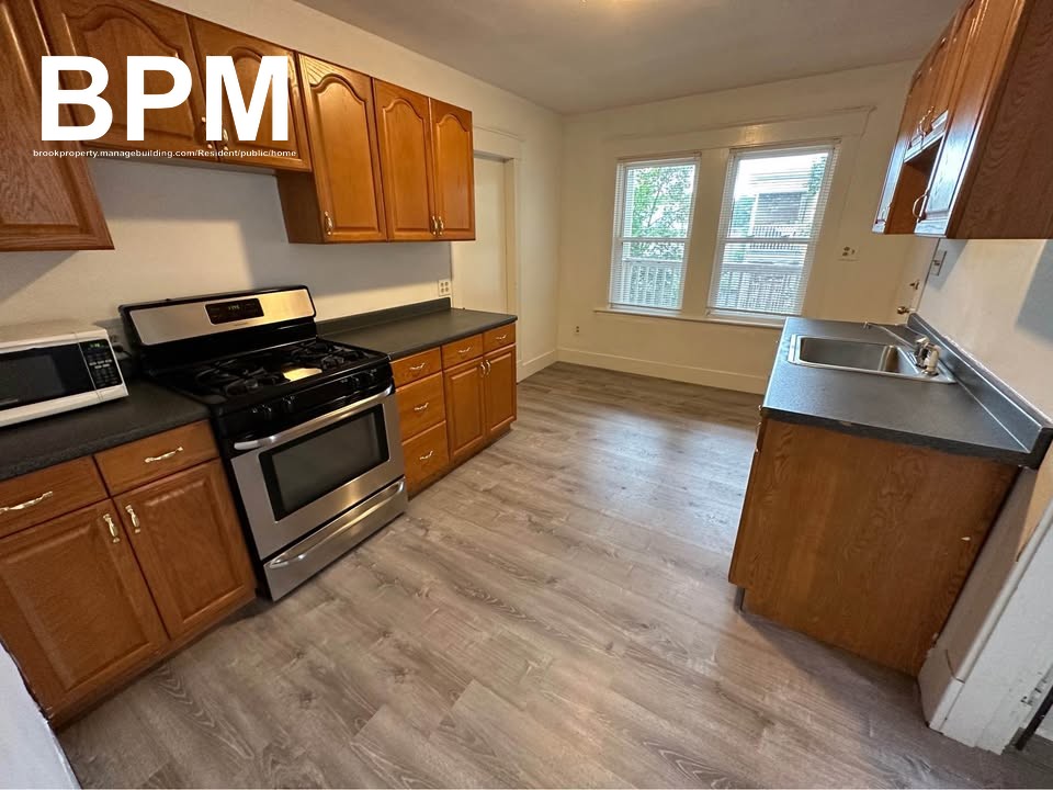 151 Forest Hills St. Unit 1, Boston