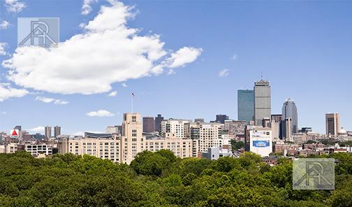 Brookline, MA 02446