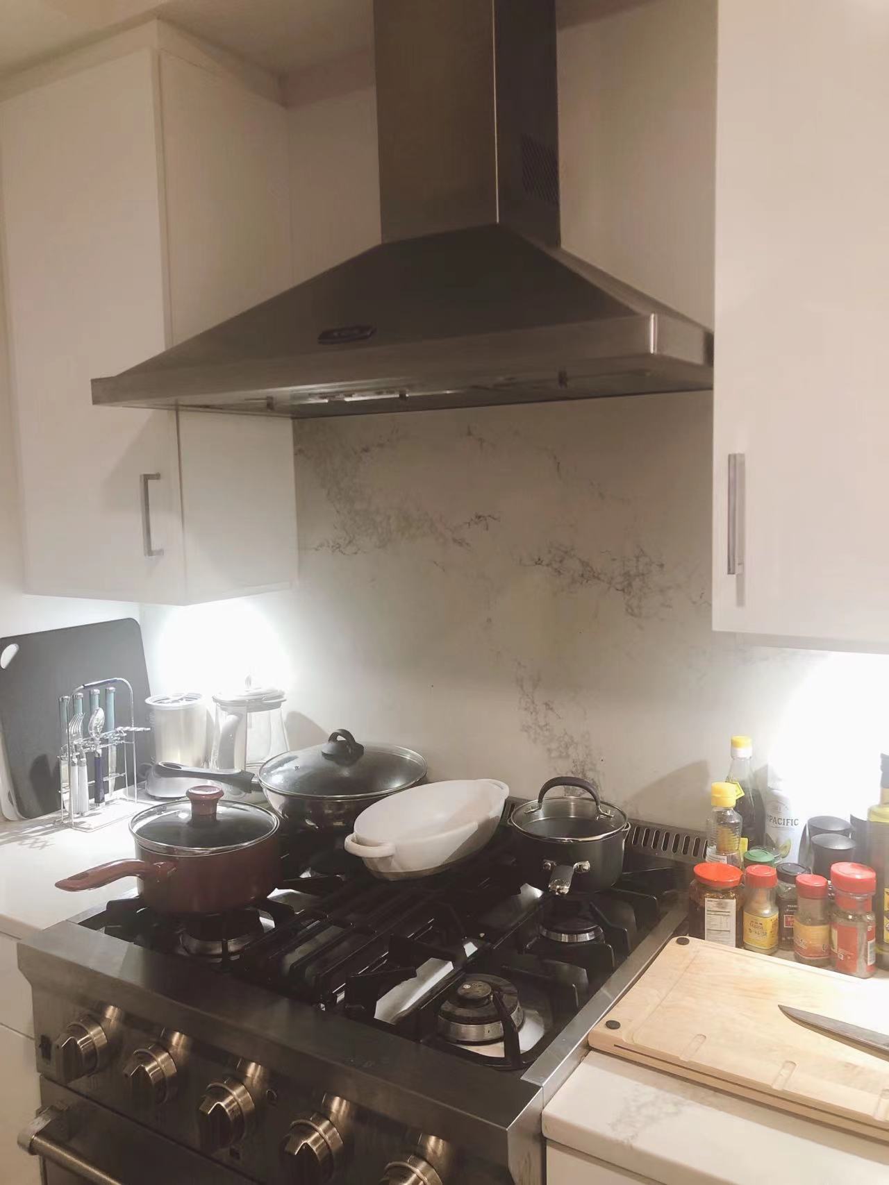 1 bed, 1 bath apartment for rent at 262 Monsignor O'Brien Hwy Unit 403, East Cambridge — photo 7 of 25
