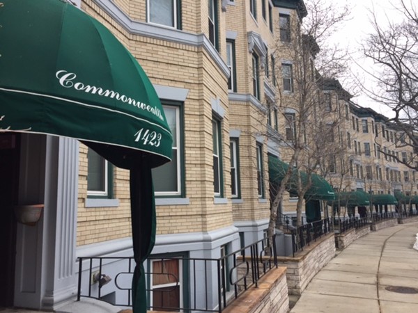 Studio bed, 1 bath apartment for rent at 1423 Commonwealth Ave Unit 304, Brighton