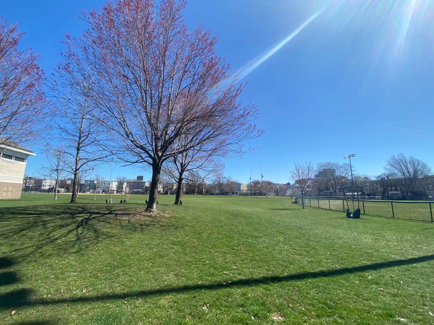 64 Willow St, East Cambridge