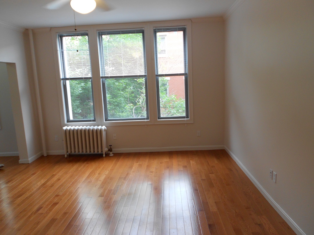 18 Haviland St, Fenway