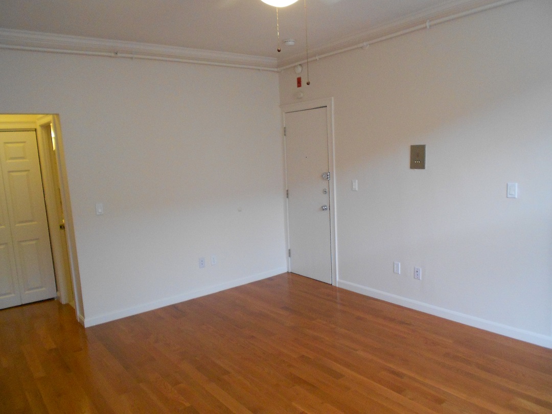 18 Haviland St, Fenway