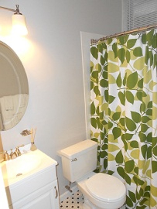 18 Haviland St, Fenway