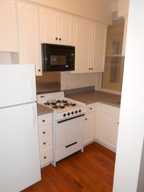 18 Haviland St, Fenway