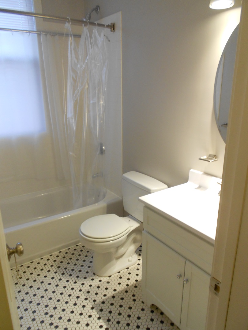 18 Haviland St, Fenway