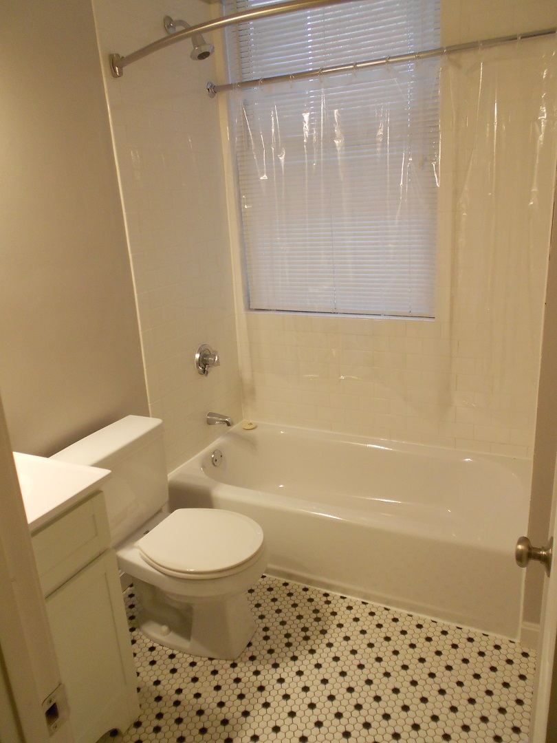 18 Haviland St, Fenway