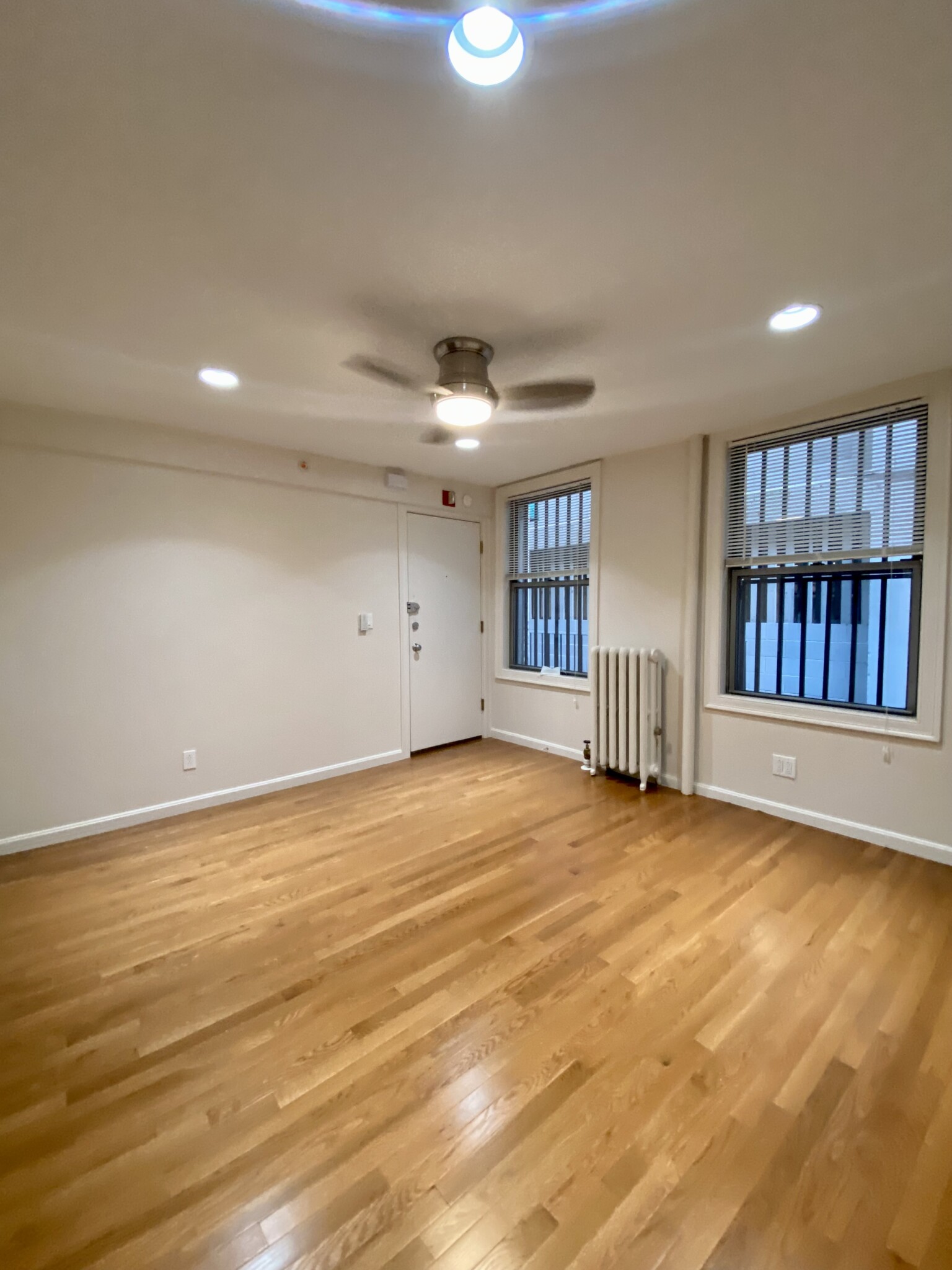 18 Haviland St, Fenway