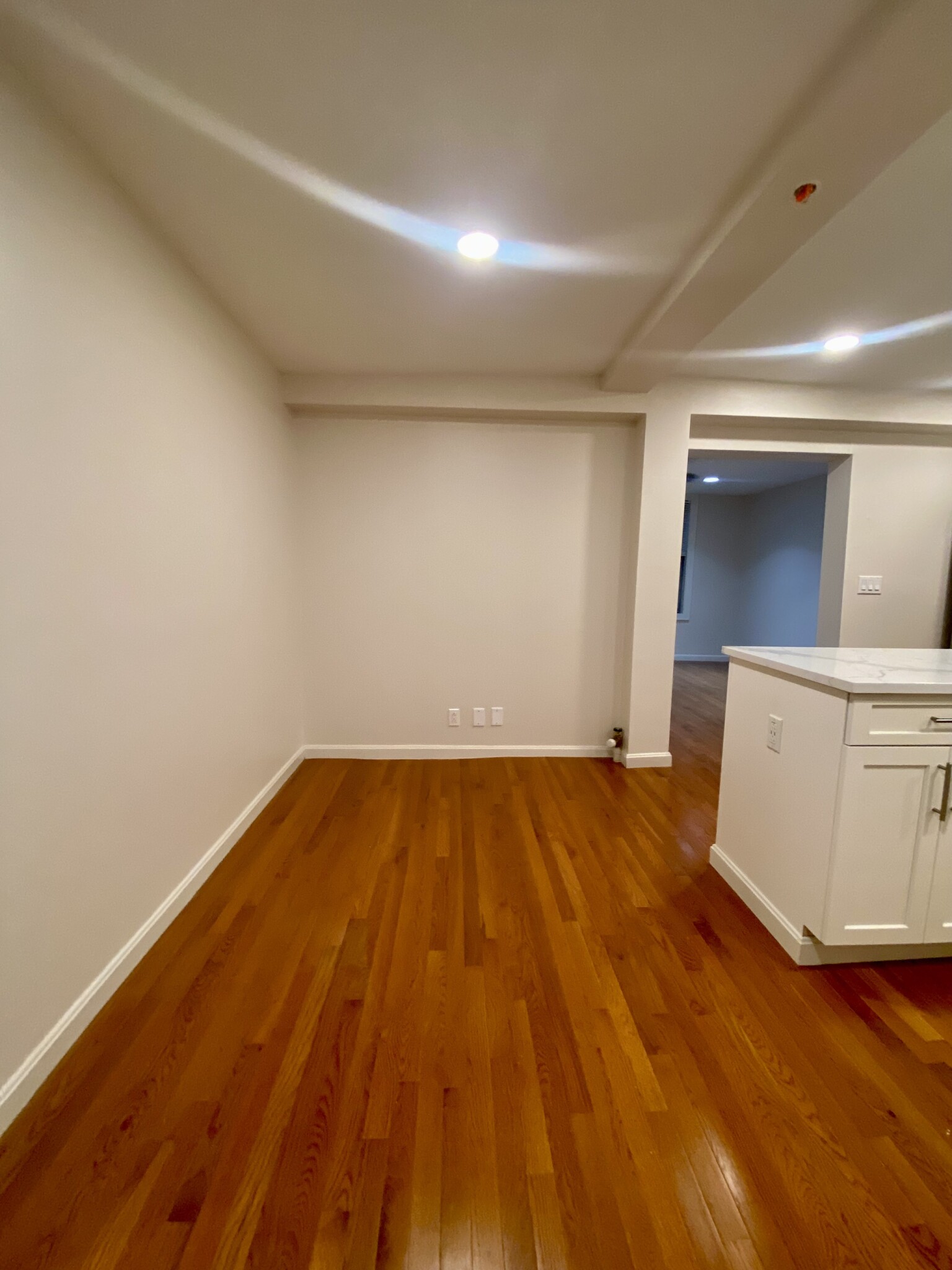 18 Haviland St, Fenway