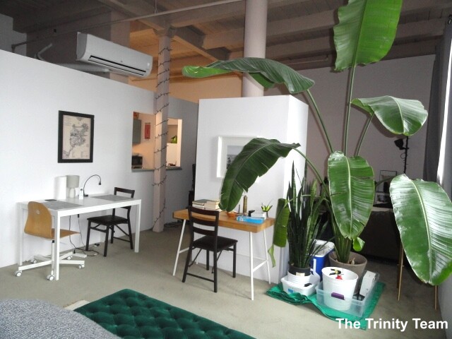 10 Thacher St, North End