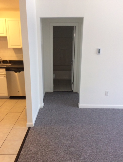 1 bed, 1 bath apartment for rent at 15 Argyle Ter Unit 9, Dorchester — photo 2 of 8